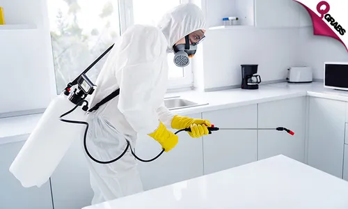 Pest Control: Cockroach & Bedbug Treatment Services!